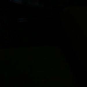 Meet your Posher, Bella